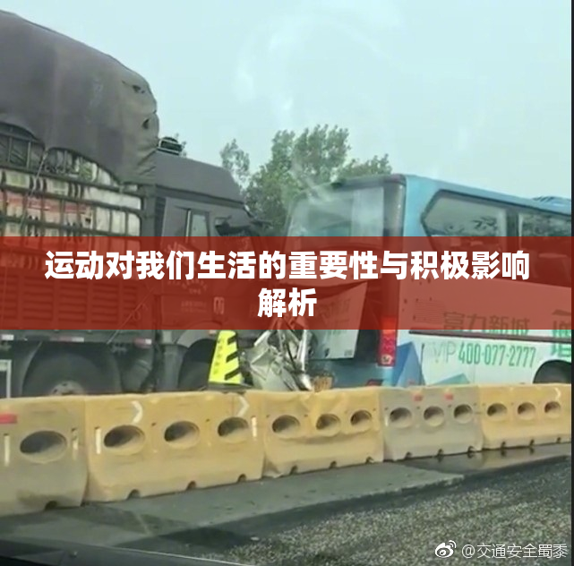 运动对我们生活的重要性与积极影响解析