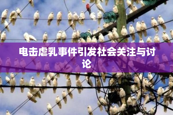 电击虐乳事件引发社会关注与讨论