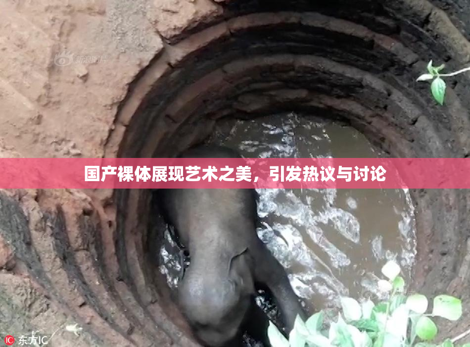 国产裸体展现艺术之美，引发热议与讨论
