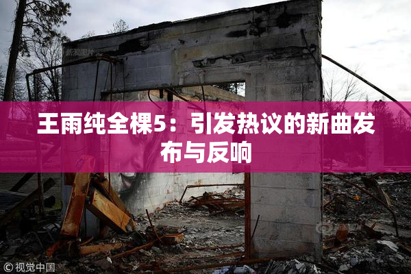 王雨纯全棵5：引发热议的新曲发布与反响