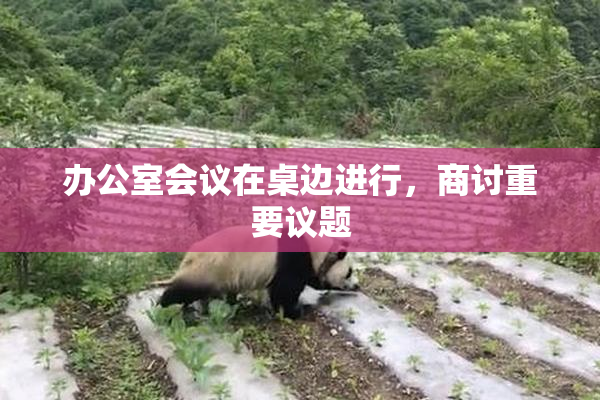 办公室会议在桌边进行，商讨重要议题