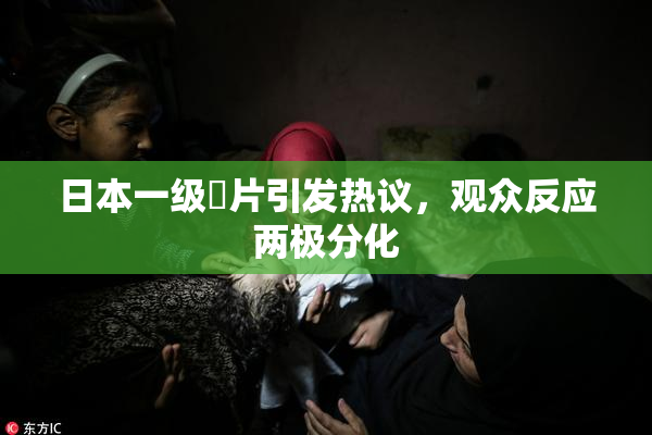 日本一级婬片引发热议，观众反应两极分化