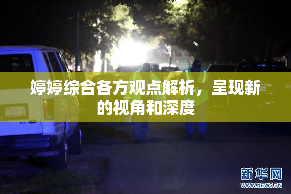 婷婷综合各方观点解析，呈现新的视角和深度
