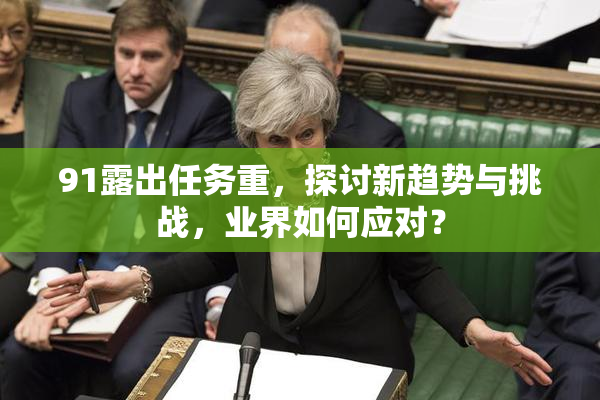 91露出任务重，探讨新趋势与挑战，业界如何应对？