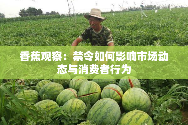 香蕉观察：禁令如何影响市场动态与消费者行为