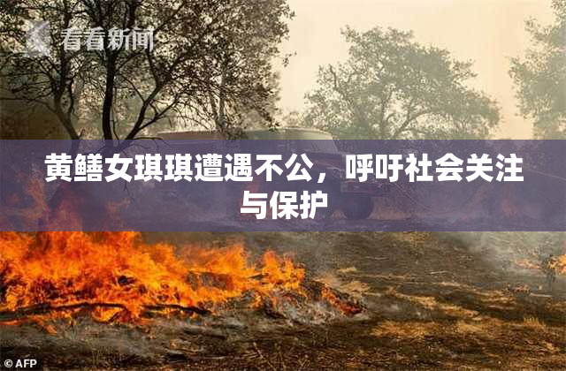 黄鳝女琪琪遭遇不公，呼吁社会关注与保护