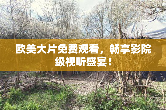 欧美大片免费观看，畅享影院级视听盛宴！