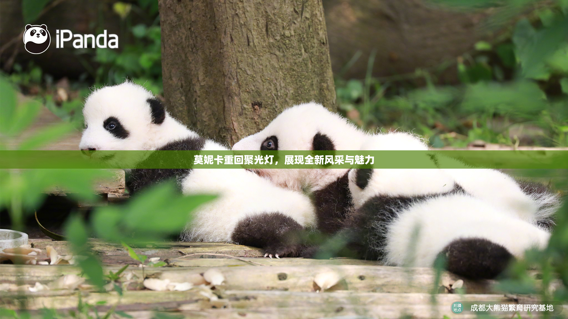 莫妮卡重回聚光灯，展现全新风采与魅力
