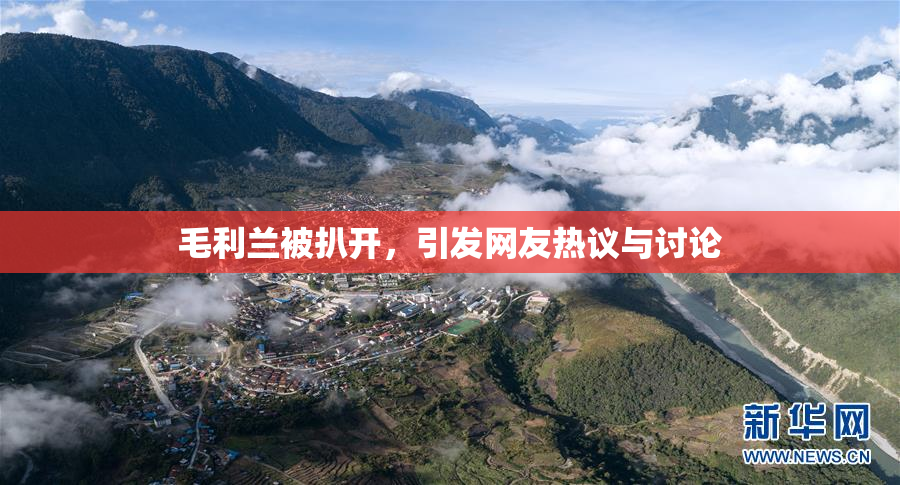 毛利兰被扒开，引发网友热议与讨论