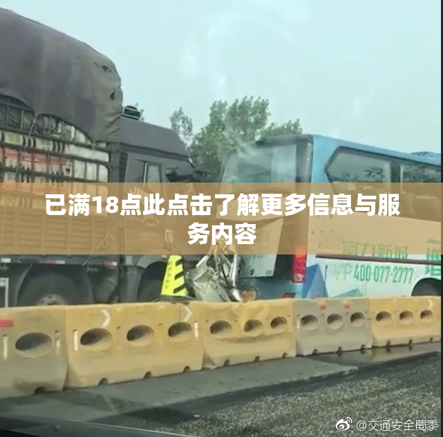 已满18点此点击了解更多信息与服务内容