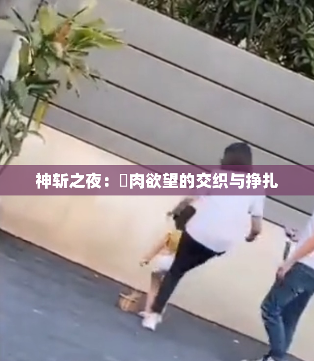 神斩之夜：婬肉欲望的交织与挣扎