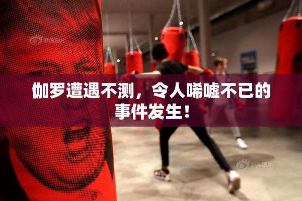 伽罗遭遇不测，令人唏嘘不已的事件发生！