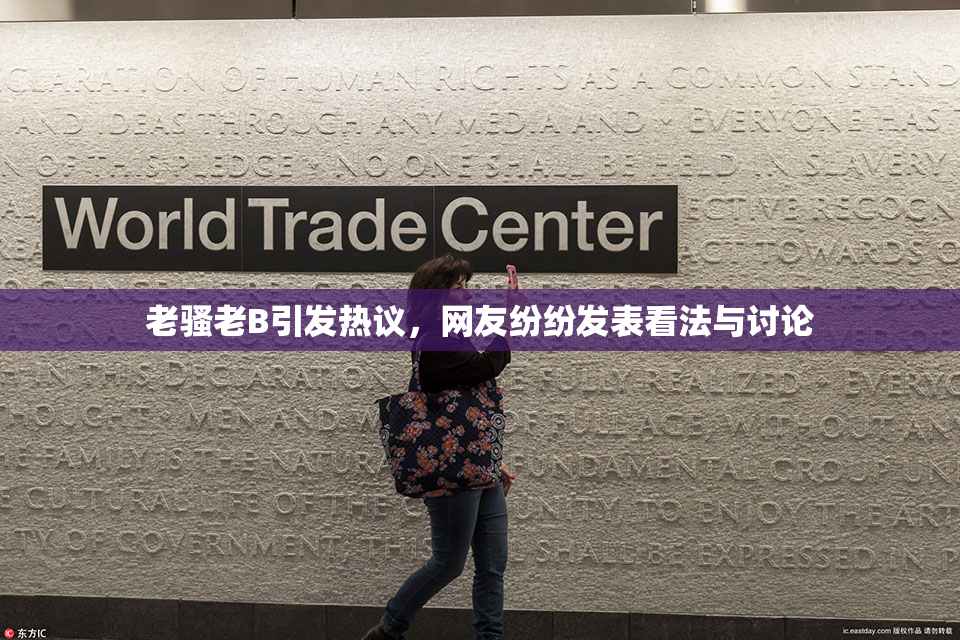 老骚老B引发热议，网友纷纷发表看法与讨论