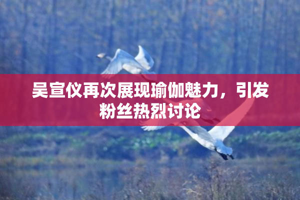 吴宣仪再次展现瑜伽魅力，引发粉丝热烈讨论