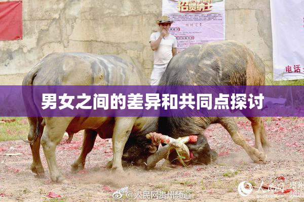 男女之间的差异和共同点探讨
