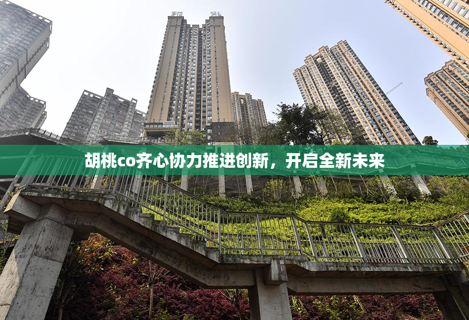 胡桃co齐心协力推进创新，开启全新未来