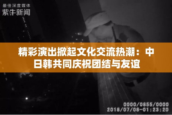 精彩演出掀起文化交流热潮：中日韩共同庆祝团结与友谊