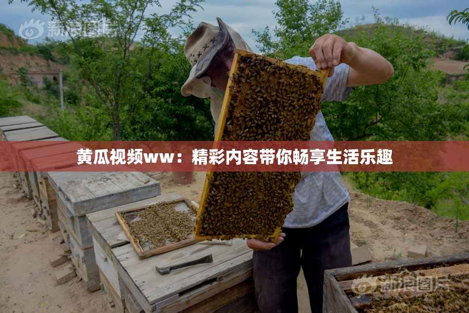 黄瓜视频ww：精彩内容带你畅享生活乐趣