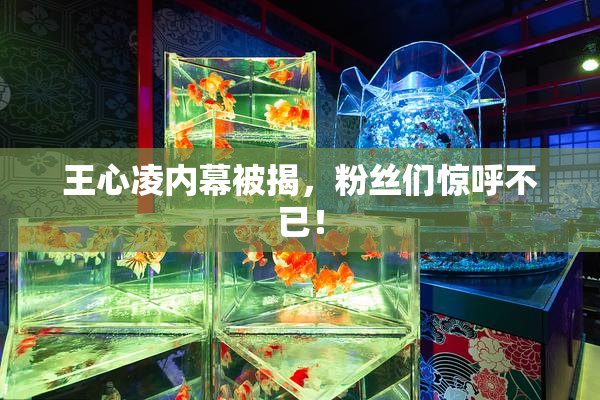 王心凌内幕被揭，粉丝们惊呼不已！