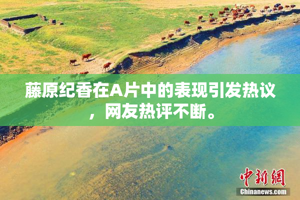 藤原纪香在A片中的表现引发热议，网友热评不断。