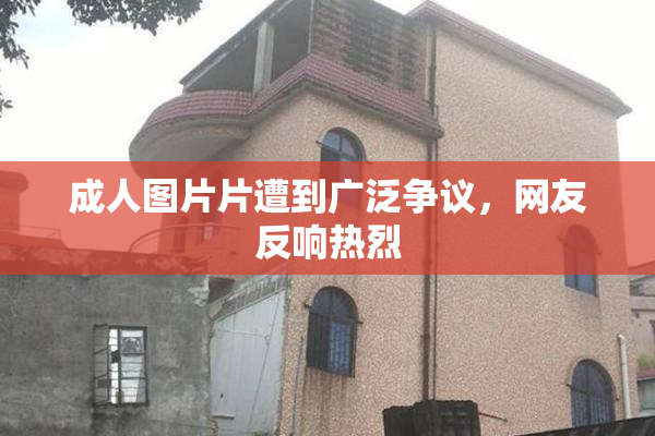 成人图片片遭到广泛争议，网友反响热烈