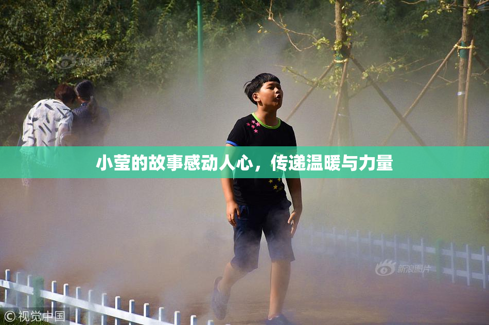 小莹的故事感动人心，传递温暖与力量