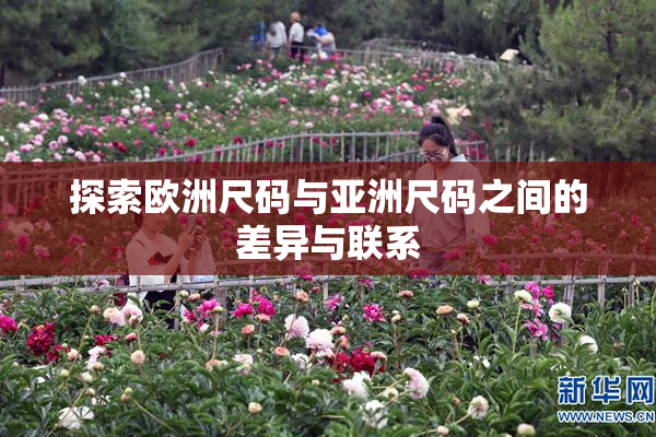 探索欧洲尺码与亚洲尺码之间的差异与联系