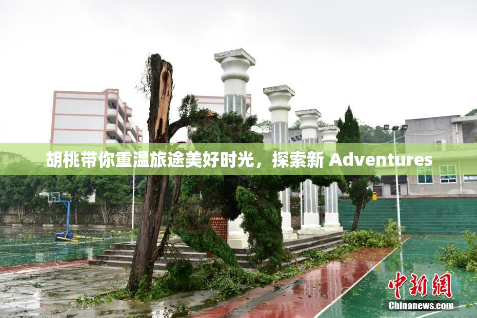 胡桃带你重温旅途美好时光，探索新 Adventures