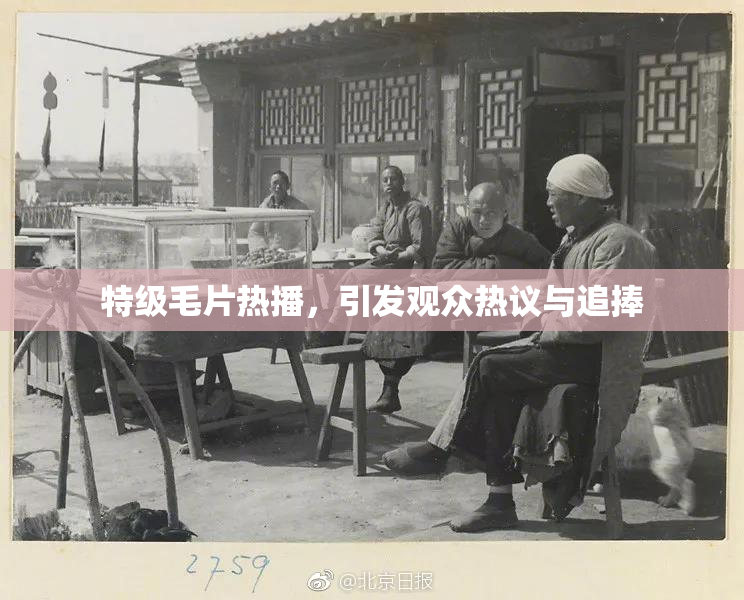 特级毛片热播，引发观众热议与追捧