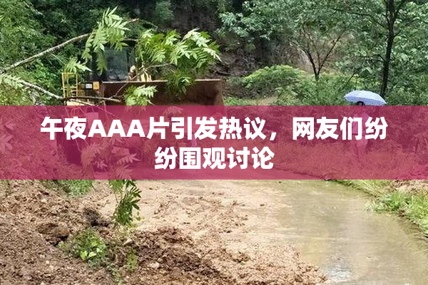 午夜AAA片引发热议，网友们纷纷围观讨论