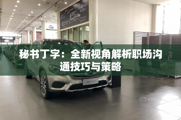 秘书丁字：全新视角解析职场沟通技巧与策略