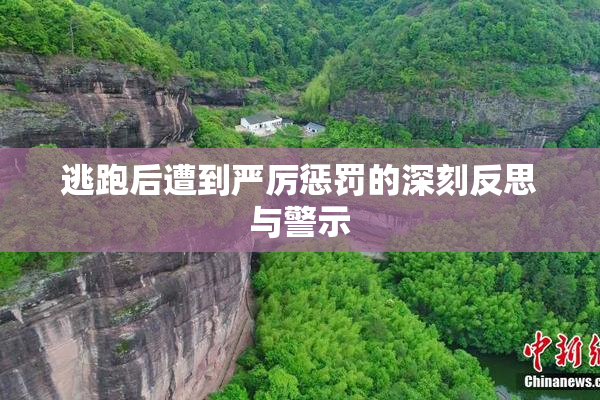 逃跑后遭到严厉惩罚的深刻反思与警示