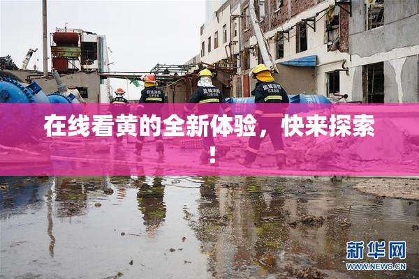 在线看黄的全新体验，快来探索！