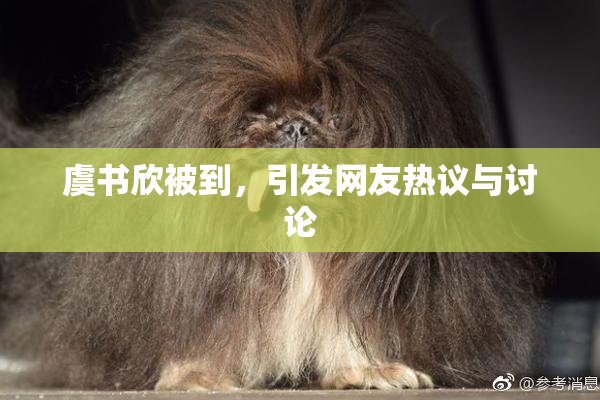 虞书欣被到，引发网友热议与讨论
