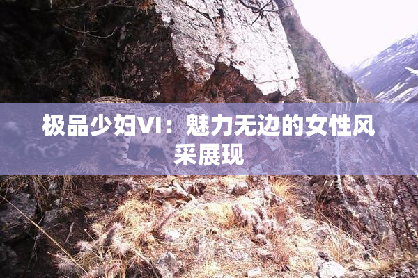 极品少妇VI：魅力无边的女性风采展现