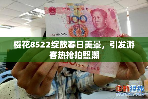 樱花8522绽放春日美景，引发游客热抢拍照潮