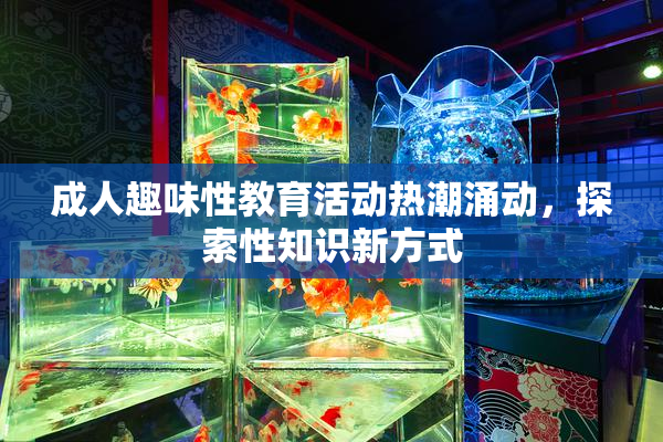 成人趣味性教育活动热潮涌动，探索性知识新方式