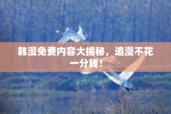 韩漫免费内容大揭秘，追漫不花一分钱！