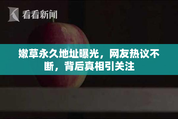 嫩草永久地址曝光，网友热议不断，背后真相引关注