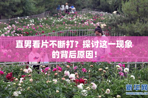 直男看片不断打？探讨这一现象的背后原因！