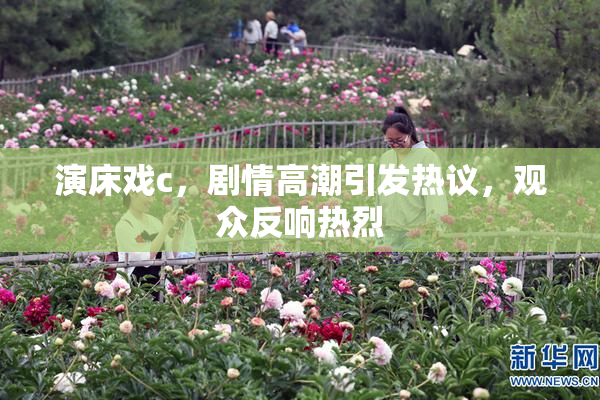 演床戏c，剧情高潮引发热议，观众反响热烈