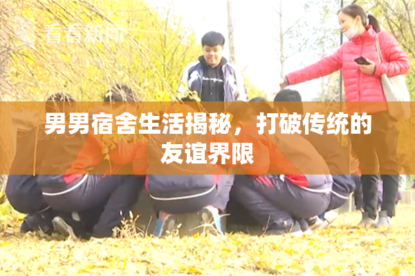 男男宿舍生活揭秘，打破传统的友谊界限