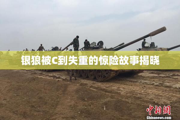 银狼被C到失重的惊险故事揭晓