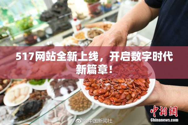 517网站全新上线，开启数字时代新篇章！
