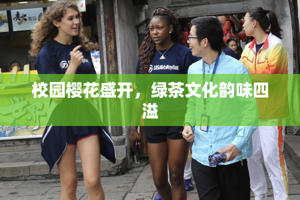 校园樱花盛开，绿茶文化韵味四溢
