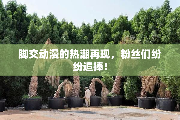 脚交动漫的热潮再现，粉丝们纷纷追捧！