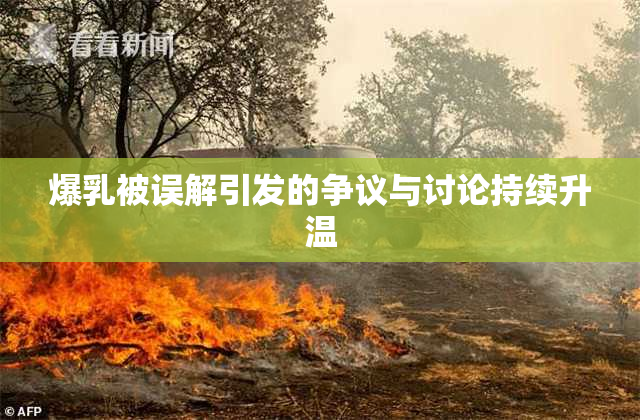 爆乳被误解引发的争议与讨论持续升温