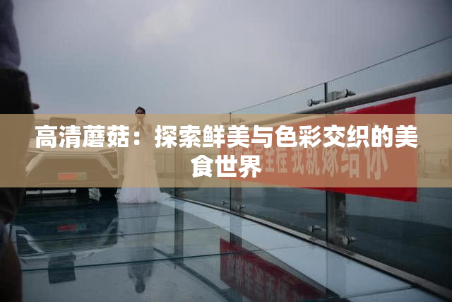 高清蘑菇：探索鲜美与色彩交织的美食世界