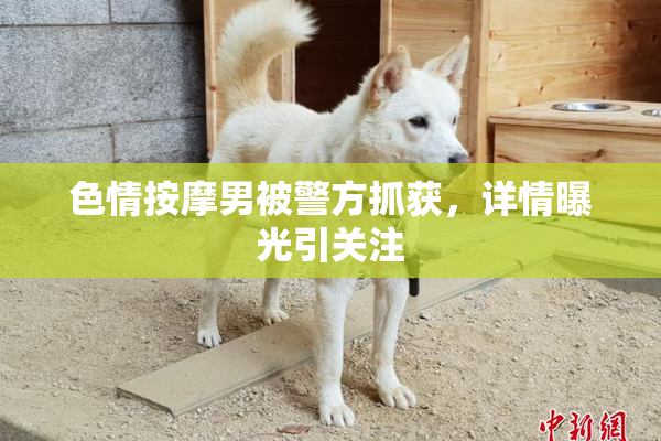 色情按摩男被警方抓获，详情曝光引关注