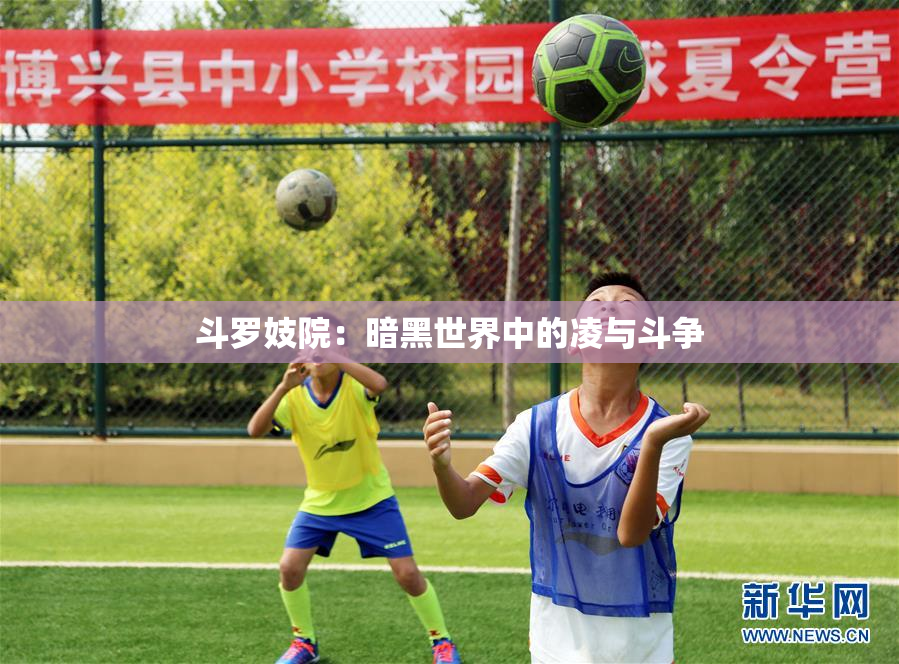 斗罗妓院：暗黑世界中的凌与斗争